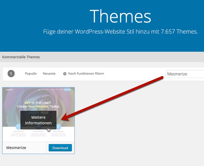 WordPress-Themes suchen